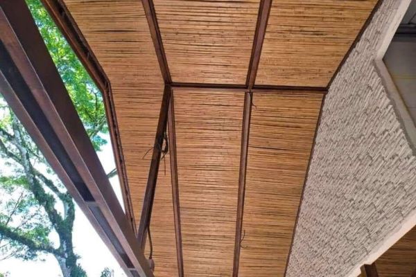 caña brava en costa rica limpieza de aceras y adoquines en costa rica (1)